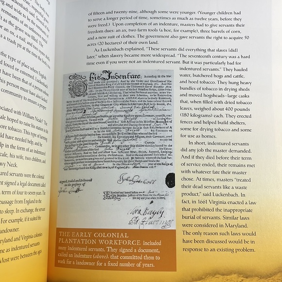 Written in Bone Buried Lives of Jamestown and Colonial Maryland Sally M. Walker - Picture 6 of 10